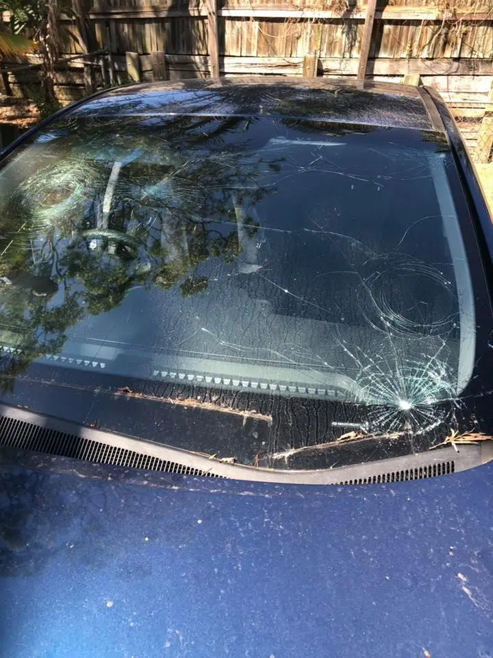Damaged car windscreen